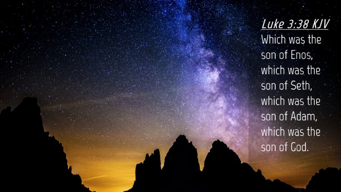 Picture 04 - Luke 3:38 KJV Desktop Wallpaper - Which was the son of Enos, which was the son of - Desktop Bible Verse Wallpaper