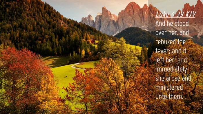 Picture 04 - Luke 4:39 KJV Desktop Wallpaper - And he stood over her, and rebuked the fever; and - Desktop Bible Verse Wallpaper