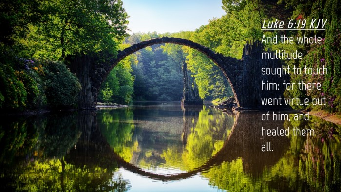 Picture 04 - Luke 6:19 KJV Desktop Wallpaper - And the whole multitude sought to touch him: for - Desktop Bible Verse Wallpaper