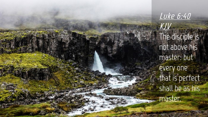 Picture 04 - Luke 6:40 KJV Desktop Wallpaper - The disciple is not above his master: but every - Desktop Bible Verse Wallpaper