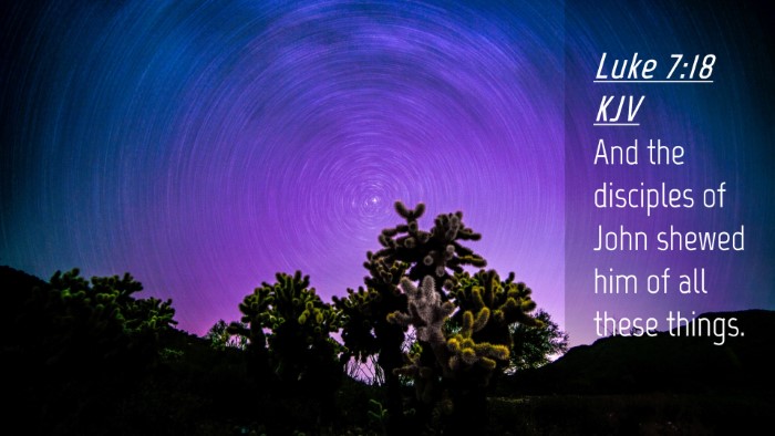 Picture 04 - Luke 7:18 KJV Desktop Wallpaper - And the disciples of John shewed him of all these - Desktop Bible Verse Wallpaper