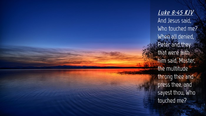 Picture 04 - Luke 8:45 KJV Desktop Wallpaper - And Jesus said, Who touched me? When all denied, - Desktop Bible Verse Wallpaper