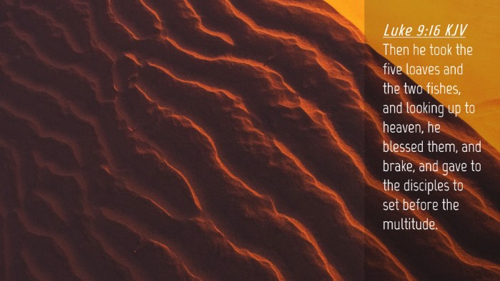 Picture 04 - Luke 9:16 KJV Desktop Wallpaper - Then he took the five loaves and the two fishes, - Desktop Bible Verse Wallpaper