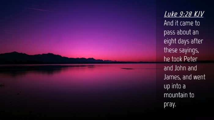 Picture 04 - Luke 9:28 KJV Desktop Wallpaper - And it came to pass about an eight days after - Desktop Bible Verse Wallpaper