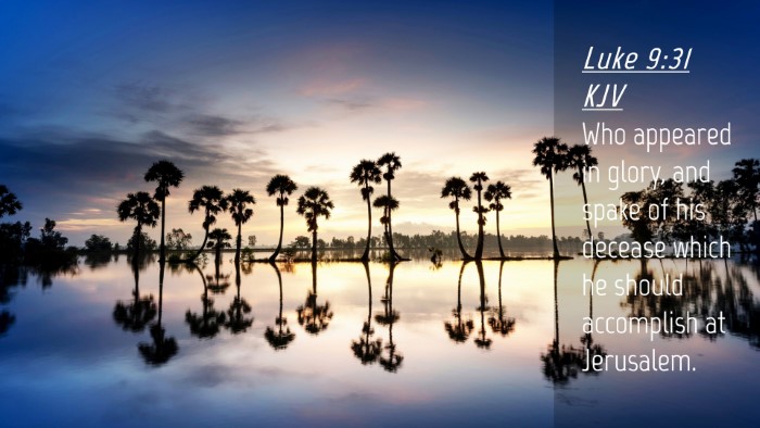 Picture 04 - Luke 9:31 KJV Desktop Wallpaper - Who appeared in glory, and spake of his decease - Desktop Bible Verse Wallpaper