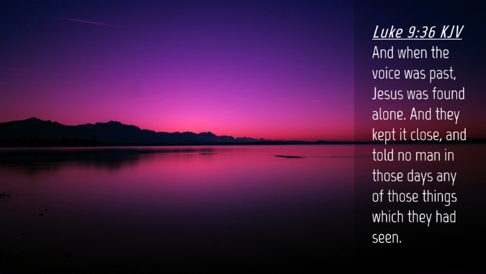 Picture 04 - Luke 9:36 KJV Desktop Wallpaper - And when the voice was past, Jesus was found - Desktop Bible Verse Wallpaper