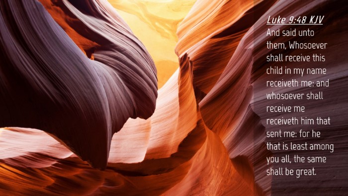 Picture 04 - Luke 9:48 KJV Desktop Wallpaper - And said unto them, Whosoever shall receive this - Desktop Bible Verse Wallpaper