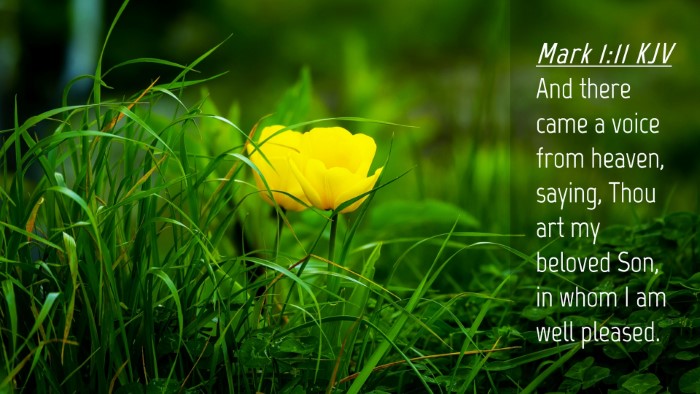 Picture 04 - Mark 1:11 KJV Desktop Wallpaper - And there came a voice from heaven, saying, Thou - Desktop Bible Verse Wallpaper