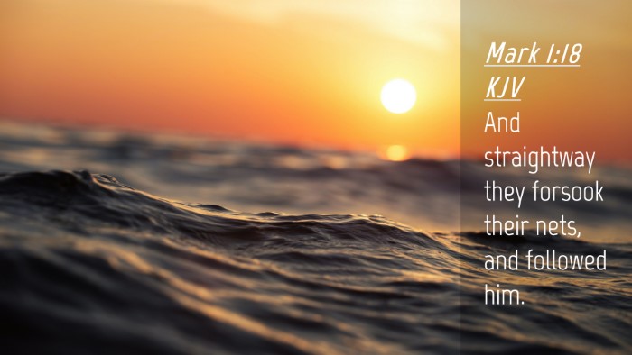 Picture 04 - Mark 1:18 KJV Desktop Wallpaper - And straightway they forsook their nets, and - Desktop Bible Verse Wallpaper