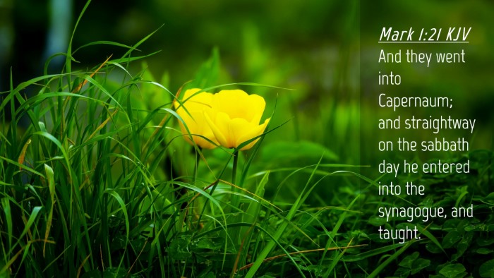 Picture 04 - Mark 1:21 KJV Desktop Wallpaper - And they went into Capernaum; and straightway on - Desktop Bible Verse Wallpaper