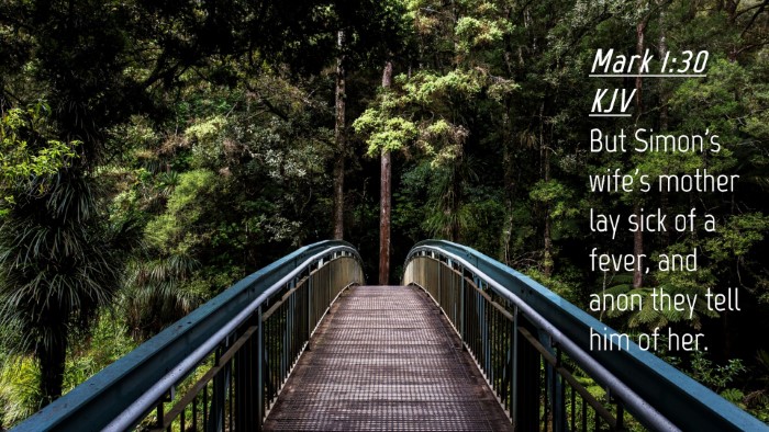 Picture 04 - Mark 1:30 KJV Desktop Wallpaper - But Simon's wife's mother lay sick of a fever, - Desktop Bible Verse Wallpaper