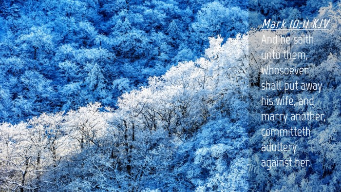 Picture 04 - Mark 10:11 KJV Desktop Wallpaper - And he saith unto them, Whosoever shall put away - Desktop Bible Verse Wallpaper