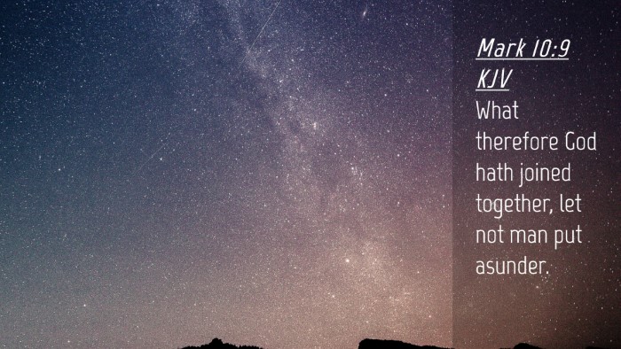 Picture 04 - Mark 10:9 KJV Desktop Wallpaper - What therefore God hath joined together, let not - Desktop Bible Verse Wallpaper