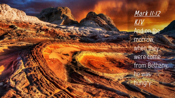 Picture 04 - Mark 11:12 KJV Desktop Wallpaper - And on the morrow, when they were come from - Desktop Bible Verse Wallpaper