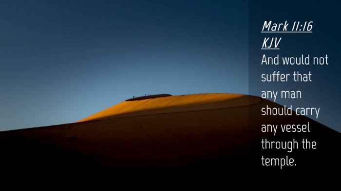 Picture 04 - Mark 11:16 KJV Desktop Wallpaper - And would not suffer that any man should carry - Desktop Bible Verse Wallpaper