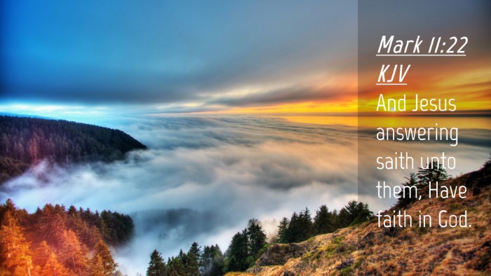 Picture 04 - Mark 11:22 KJV Desktop Wallpaper - And Jesus answering saith unto them, Have faith - Desktop Bible Verse Wallpaper