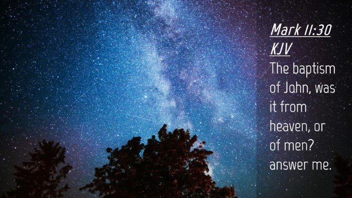 Picture 04 - Mark 11:30 KJV Desktop Wallpaper - The baptism of John, was it from heaven, or of - Desktop Bible Verse Wallpaper