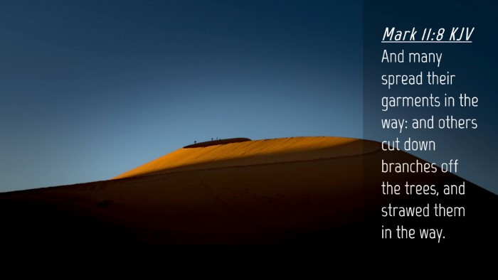Picture 04 - Mark 11:8 KJV Desktop Wallpaper - And many spread their garments in the way: and - Desktop Bible Verse Wallpaper