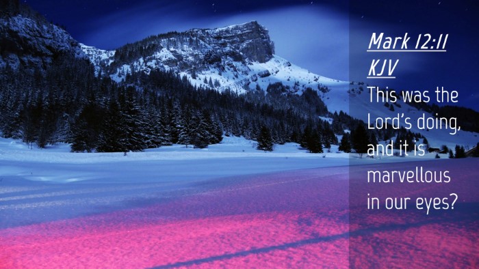 Picture 04 - Mark 12:11 KJV Desktop Wallpaper - This was the Lord's doing, and it is marvellous - Desktop Bible Verse Wallpaper