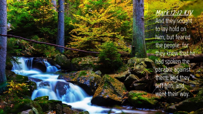Picture 04 - Mark 12:12 KJV Desktop Wallpaper - And they sought to lay hold on him, but feared - Desktop Bible Verse Wallpaper