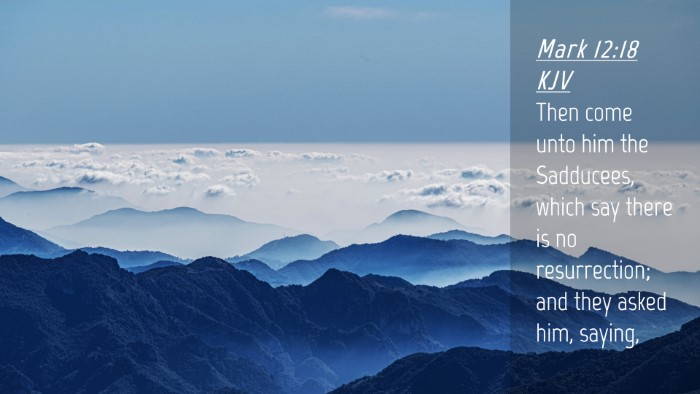 Picture 04 - Mark 12:18 KJV Desktop Wallpaper - Then come unto him the Sadducees, which say there - Desktop Bible Verse Wallpaper