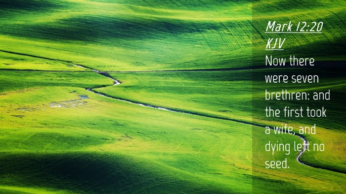 Picture 04 - Mark 12:20 KJV Desktop Wallpaper - Now there were seven brethren: and the first took - Desktop Bible Verse Wallpaper