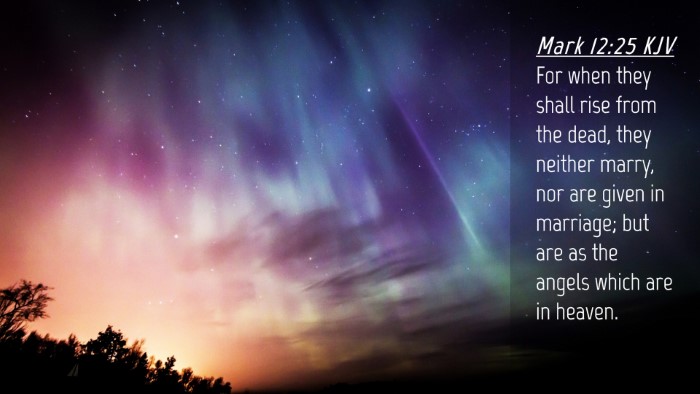 Picture 04 - Mark 12:25 KJV Desktop Wallpaper - For when they shall rise from the dead, they - Desktop Bible Verse Wallpaper