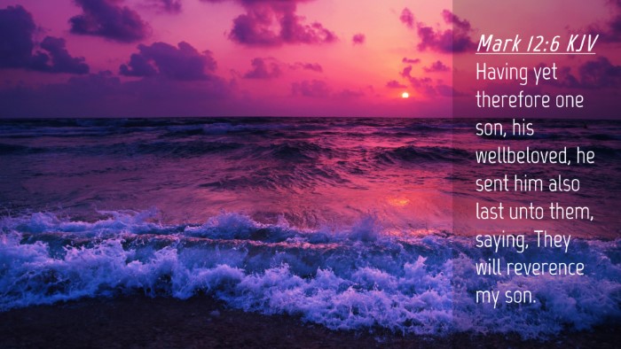 Picture 04 - Mark 12:6 KJV Desktop Wallpaper - Having yet therefore one son, his wellbeloved, he - Desktop Bible Verse Wallpaper
