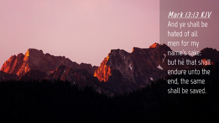 Picture 04 - Mark 13:13 KJV Desktop Wallpaper - And ye shall be hated of all men for my name's - Desktop Bible Verse Wallpaper