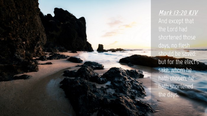 Picture 04 - Mark 13:20 KJV Desktop Wallpaper - And except that the Lord had shortened those - Desktop Bible Verse Wallpaper