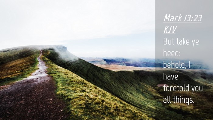 Picture 04 - Mark 13:23 KJV Desktop Wallpaper - But take ye heed: behold, I have foretold you all - Desktop Bible Verse Wallpaper