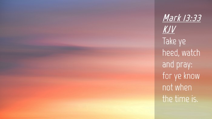Picture 04 - Mark 13:33 KJV Desktop Wallpaper - Take ye heed, watch and pray: for ye know not - Desktop Bible Verse Wallpaper