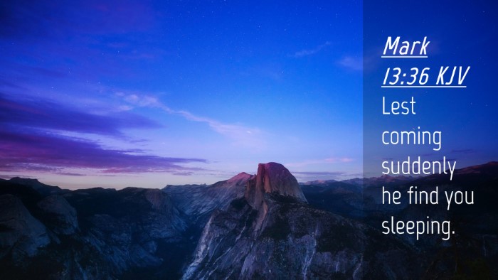 Picture 04 - Mark 13:36 KJV Desktop Wallpaper - Lest coming suddenly he find you - Desktop Bible Verse Wallpaper
