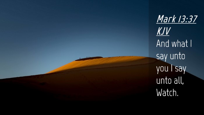 Picture 04 - Mark 13:37 KJV Desktop Wallpaper - And what I say unto you I say unto all, - Desktop Bible Verse Wallpaper