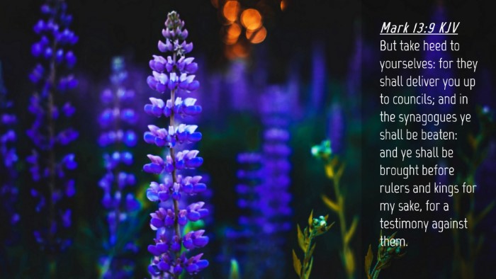 Picture 04 - Mark 13:9 KJV Desktop Wallpaper - But take heed to yourselves: for they shall - Desktop Bible Verse Wallpaper