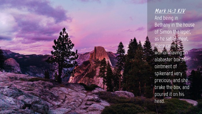 Picture 04 - Mark 14:3 KJV Desktop Wallpaper - And being in Bethany in the house of Simon the - Desktop Bible Verse Wallpaper