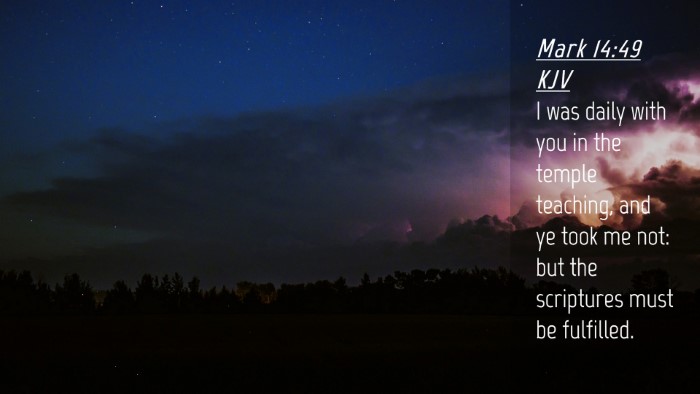 Picture 04 - Mark 14:49 KJV Desktop Wallpaper - I was daily with you in the temple teaching, and - Desktop Bible Verse Wallpaper