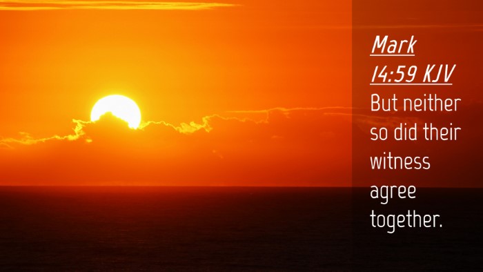 Picture 04 - Mark 14:59 KJV Desktop Wallpaper - But neither so did their witness agree - Desktop Bible Verse Wallpaper