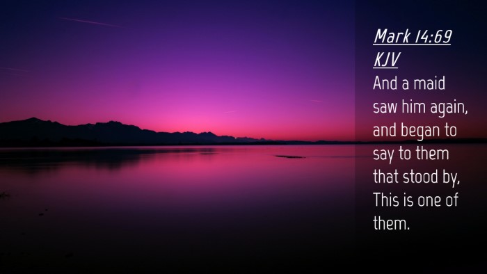 Picture 04 - Mark 14:69 KJV Desktop Wallpaper - And a maid saw him again, and began to say to - Desktop Bible Verse Wallpaper