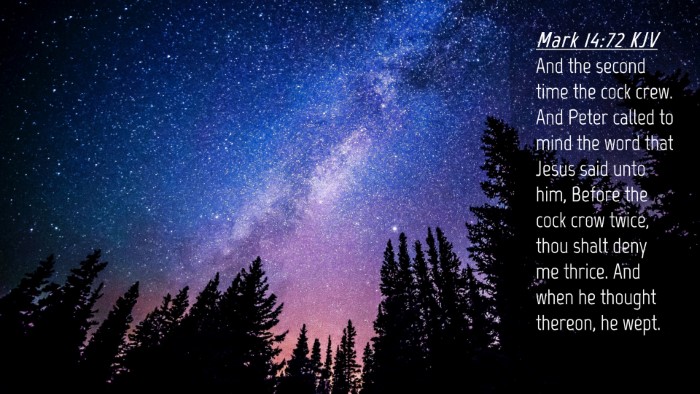 Picture 04 - Mark 14:72 KJV Desktop Wallpaper - And the second time the cock crew. And Peter - Desktop Bible Verse Wallpaper