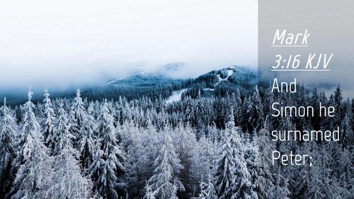 Picture 04 - Mark 3:16 KJV Desktop Wallpaper - And Simon he surnamed - Desktop Bible Verse Wallpaper