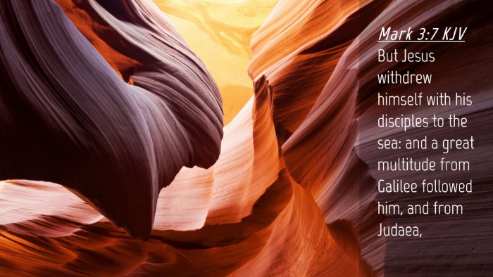 Picture 04 - Mark 3:7 KJV Desktop Wallpaper - But Jesus withdrew himself with his disciples to - Desktop Bible Verse Wallpaper