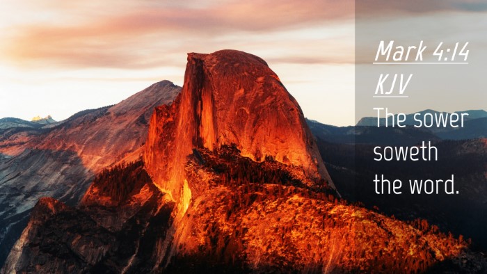 Picture 04 - Mark 4:14 KJV Desktop Wallpaper - The sower soweth the - Desktop Bible Verse Wallpaper