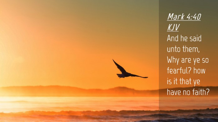 Picture 04 - Mark 4:40 KJV Desktop Wallpaper - And he said unto them, Why are ye so fearful? how - Desktop Bible Verse Wallpaper