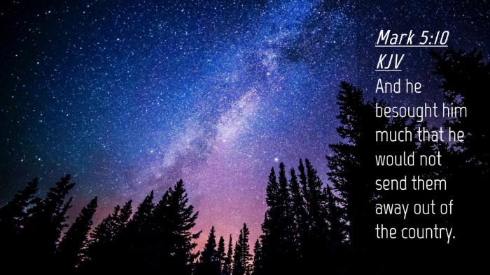 Picture 04 - Mark 5:10 KJV Desktop Wallpaper - And he besought him much that he would not send - Desktop Bible Verse Wallpaper