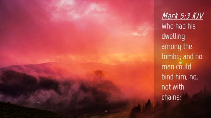 Picture 04 - Mark 5:3 KJV Desktop Wallpaper - Who had his dwelling among the tombs; and no man - Desktop Bible Verse Wallpaper
