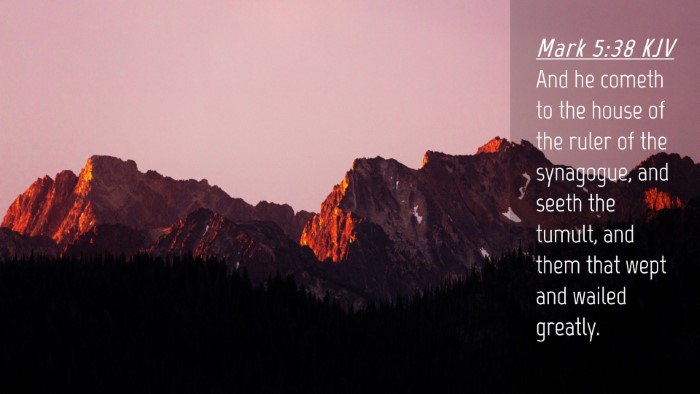Picture 04 - Mark 5:38 KJV Desktop Wallpaper - And he cometh to the house of the ruler of the - Desktop Bible Verse Wallpaper