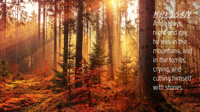 Picture 04 - Mark 5:5 KJV Desktop Wallpaper - And always, night and day, he was in the - Desktop Bible Verse Wallpaper
