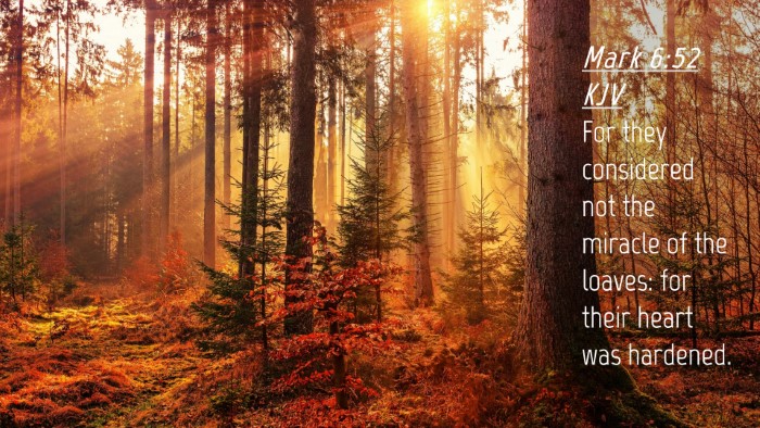 Picture 04 - Mark 6:52 KJV Desktop Wallpaper - For they considered not the miracle of the - Desktop Bible Verse Wallpaper