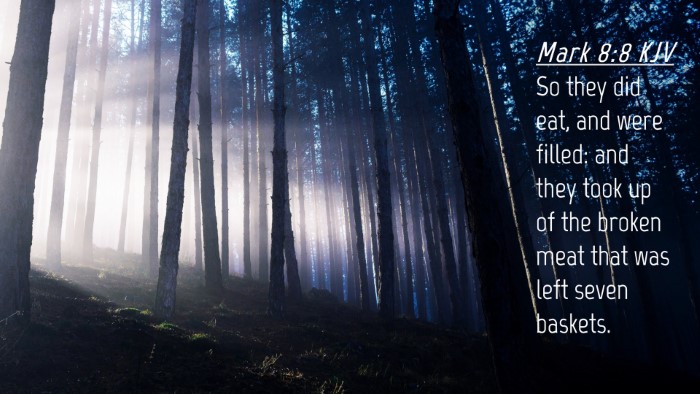 Picture 04 - Mark 8:8 KJV Desktop Wallpaper - So they did eat, and were filled: and they took - Desktop Bible Verse Wallpaper